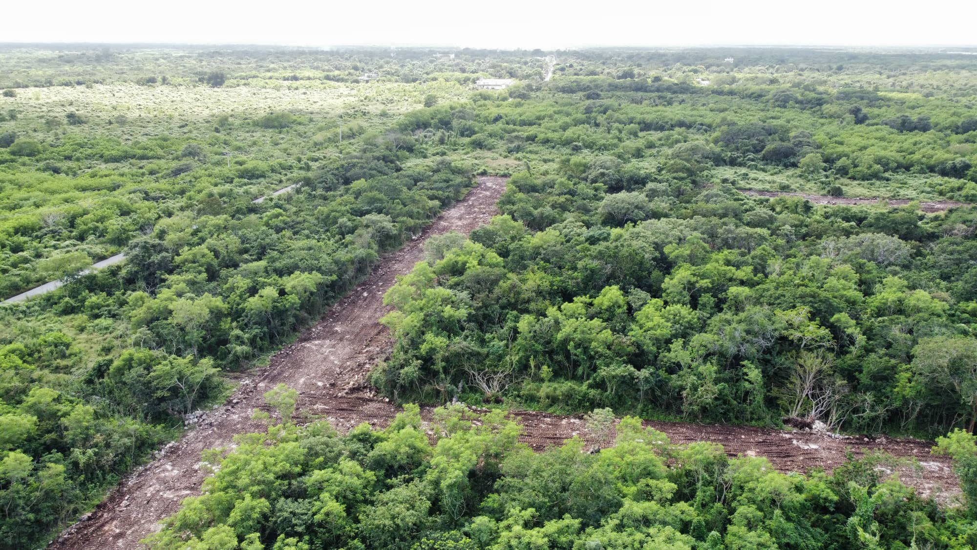 Avances de Obra 8